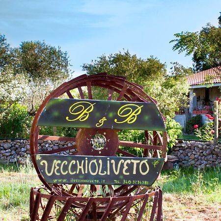 Bed and Breakfast Il Vecchioliveto Di Ornella Marrùbiu Exterior foto