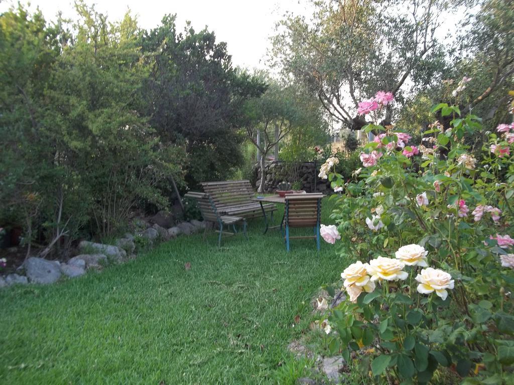 Bed and Breakfast Il Vecchioliveto Di Ornella Marrùbiu Zimmer foto