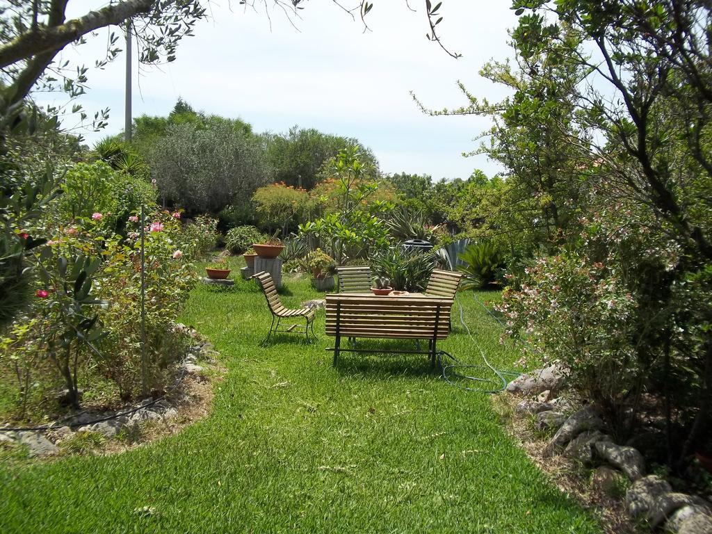 Bed and Breakfast Il Vecchioliveto Di Ornella Marrùbiu Zimmer foto