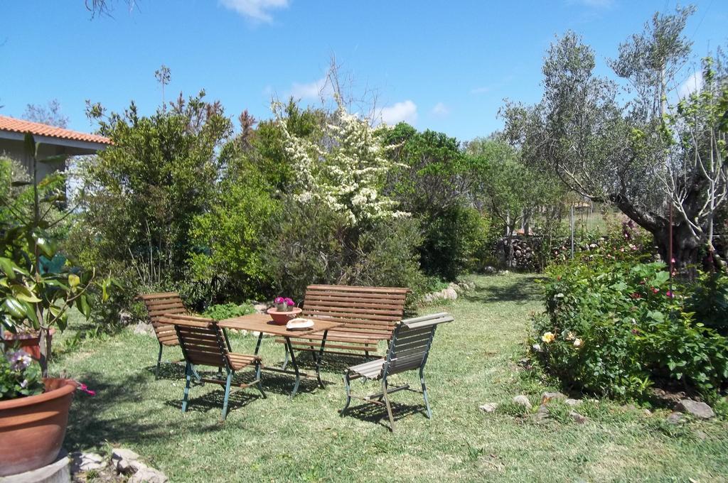 Bed and Breakfast Il Vecchioliveto Di Ornella Marrùbiu Exterior foto