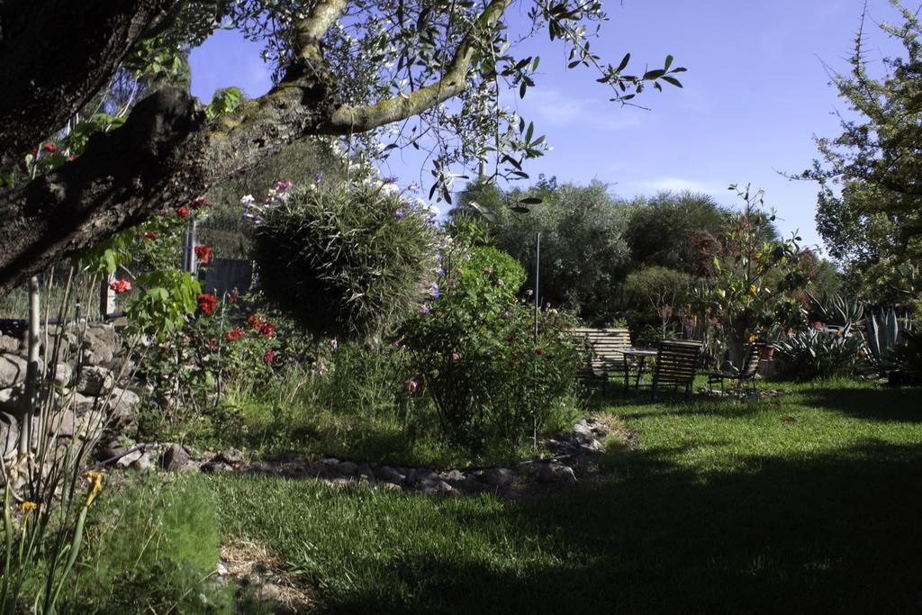 Bed and Breakfast Il Vecchioliveto Di Ornella Marrùbiu Exterior foto