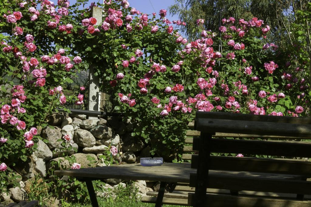 Bed and Breakfast Il Vecchioliveto Di Ornella Marrùbiu Exterior foto