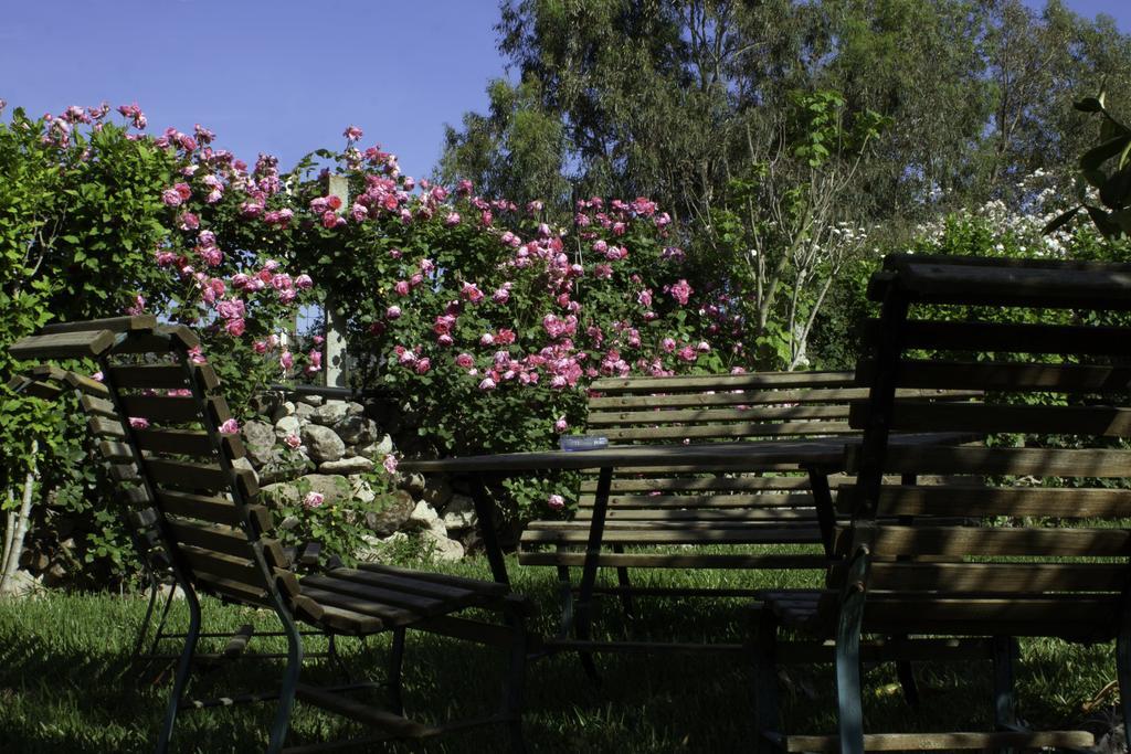 Bed and Breakfast Il Vecchioliveto Di Ornella Marrùbiu Exterior foto