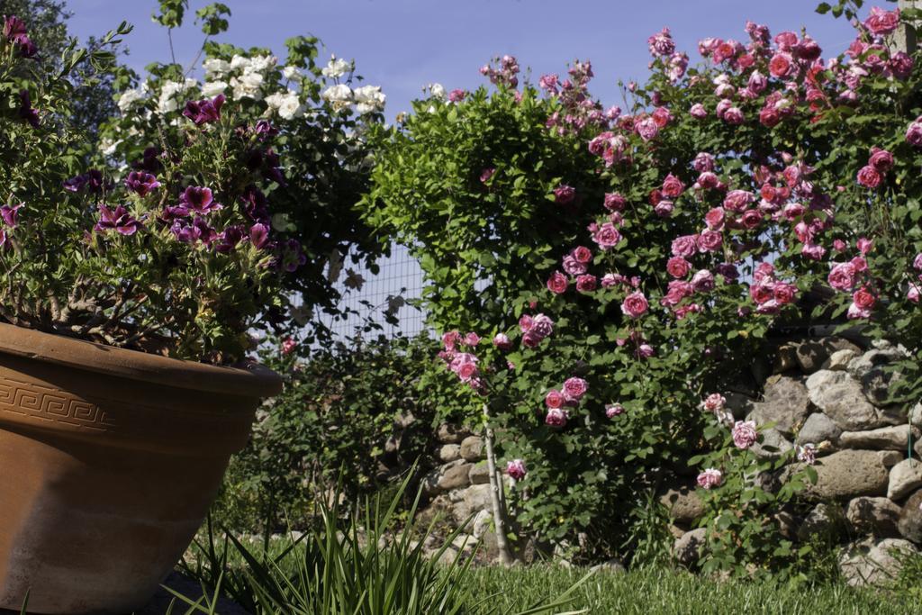 Bed and Breakfast Il Vecchioliveto Di Ornella Marrùbiu Exterior foto