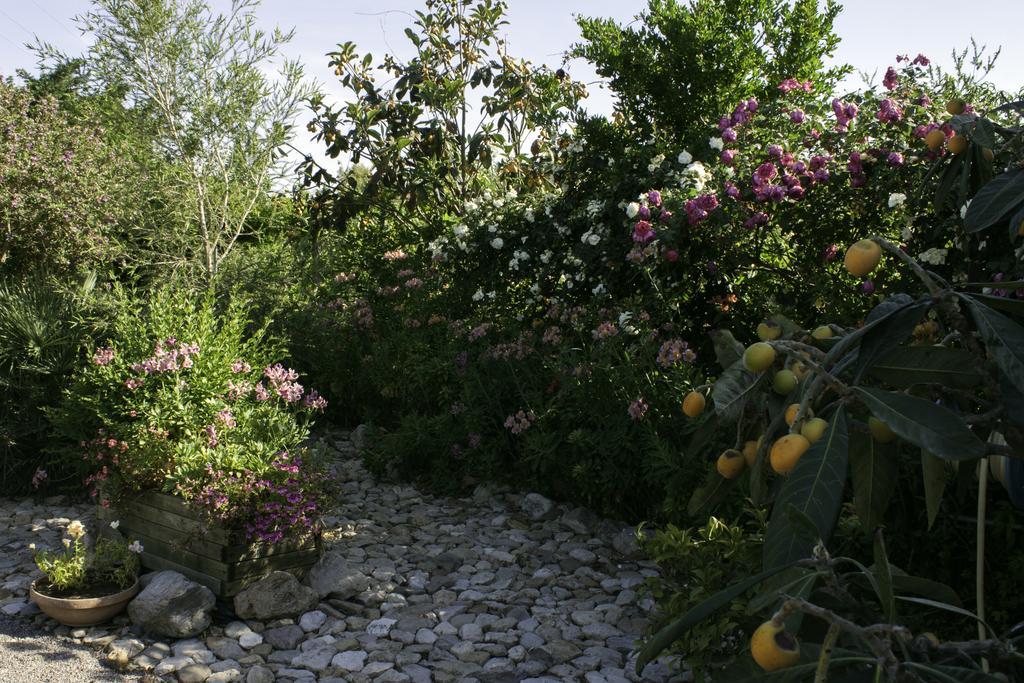 Bed and Breakfast Il Vecchioliveto Di Ornella Marrùbiu Exterior foto