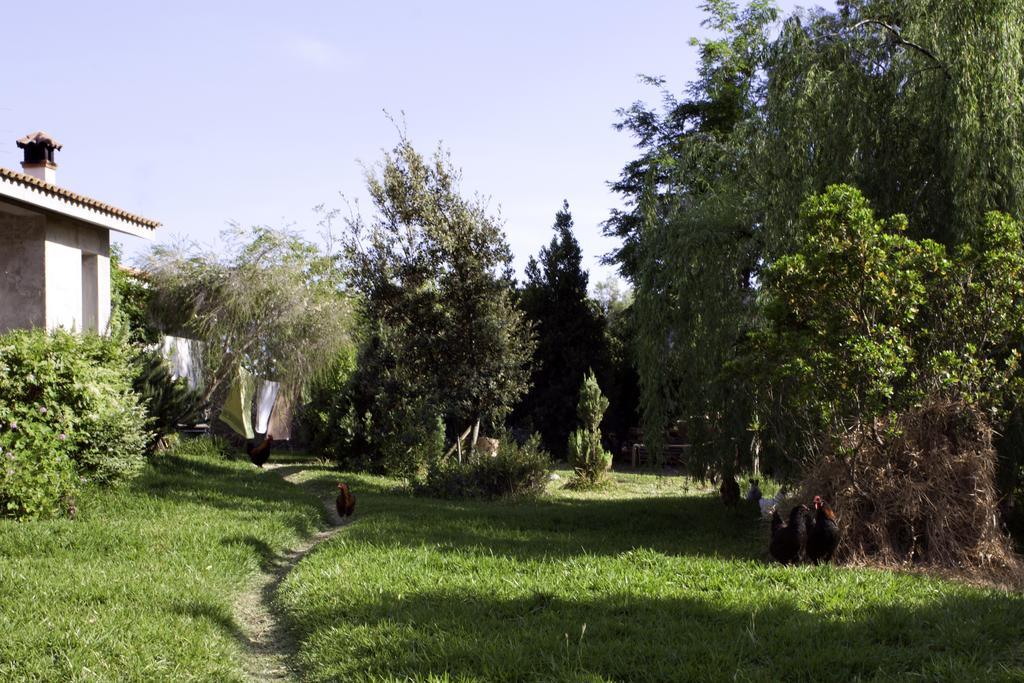 Bed and Breakfast Il Vecchioliveto Di Ornella Marrùbiu Exterior foto