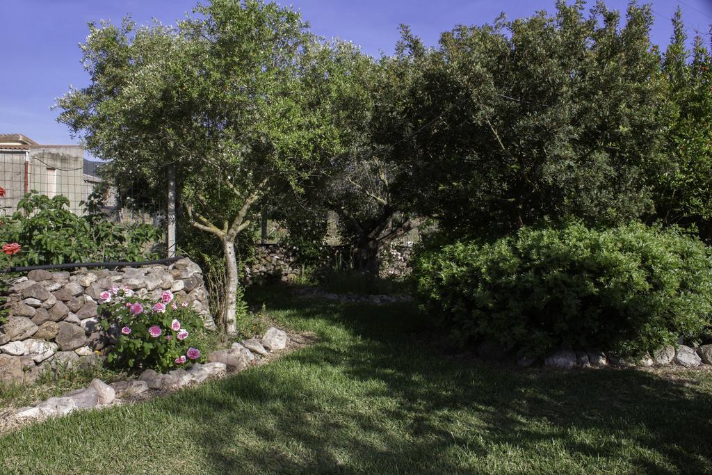 Bed and Breakfast Il Vecchioliveto Di Ornella Marrùbiu Exterior foto
