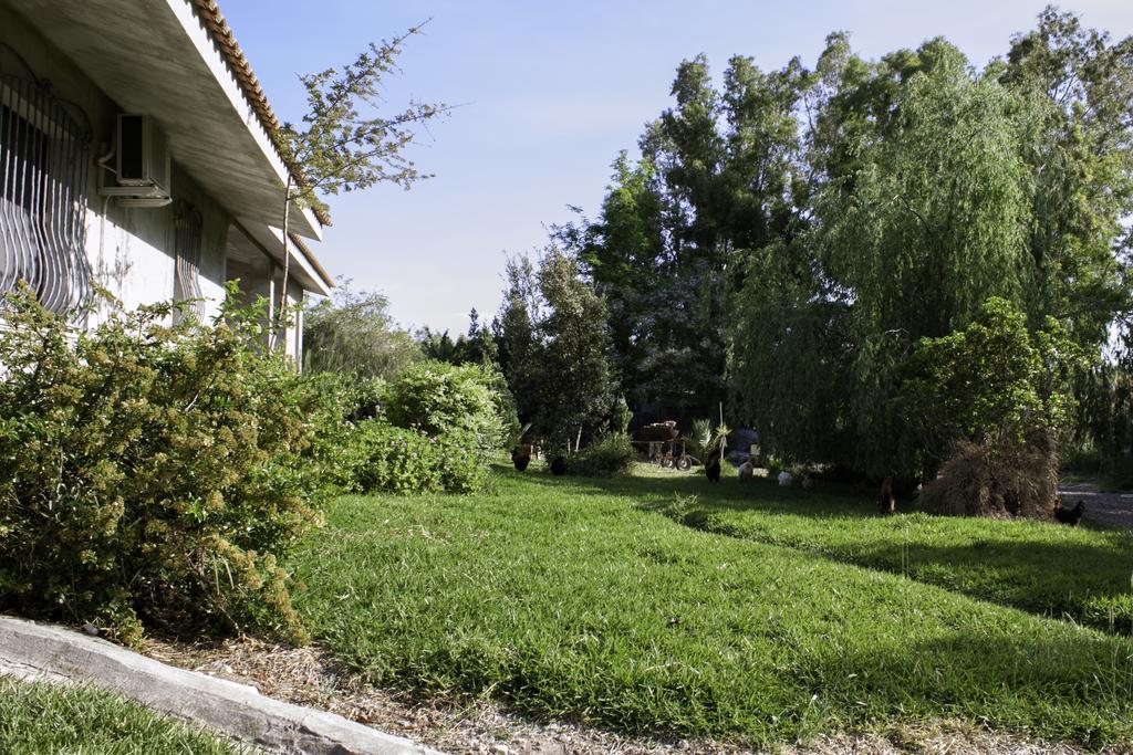 Bed and Breakfast Il Vecchioliveto Di Ornella Marrùbiu Exterior foto