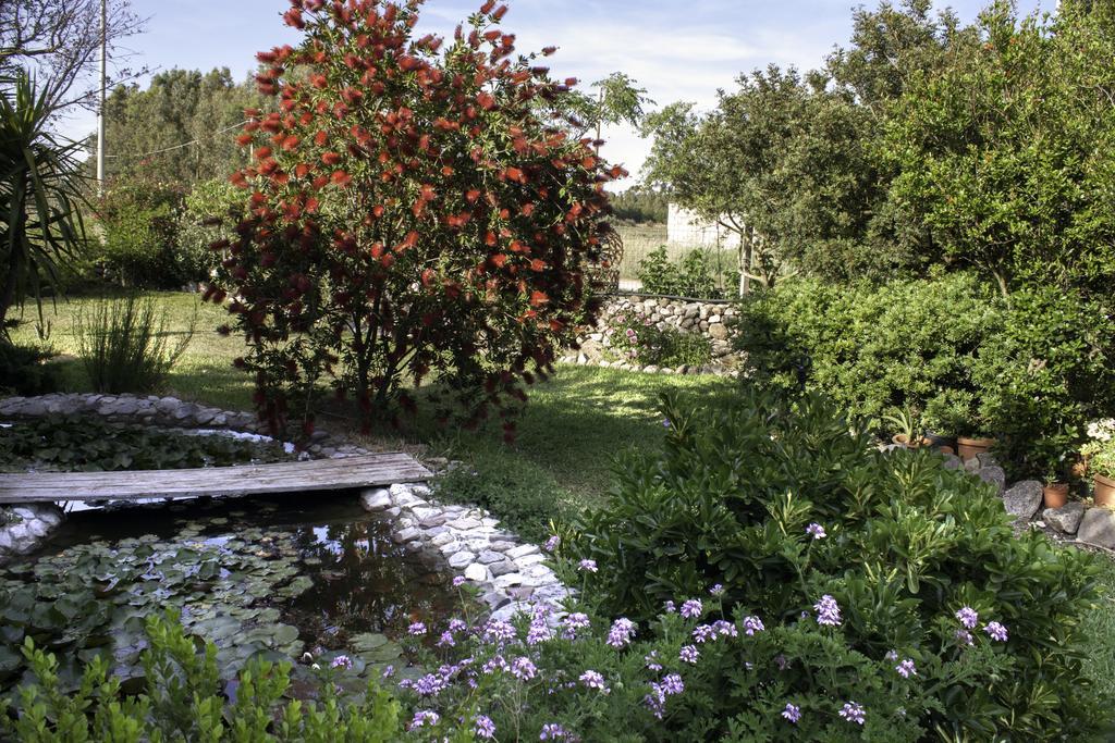 Bed and Breakfast Il Vecchioliveto Di Ornella Marrùbiu Exterior foto
