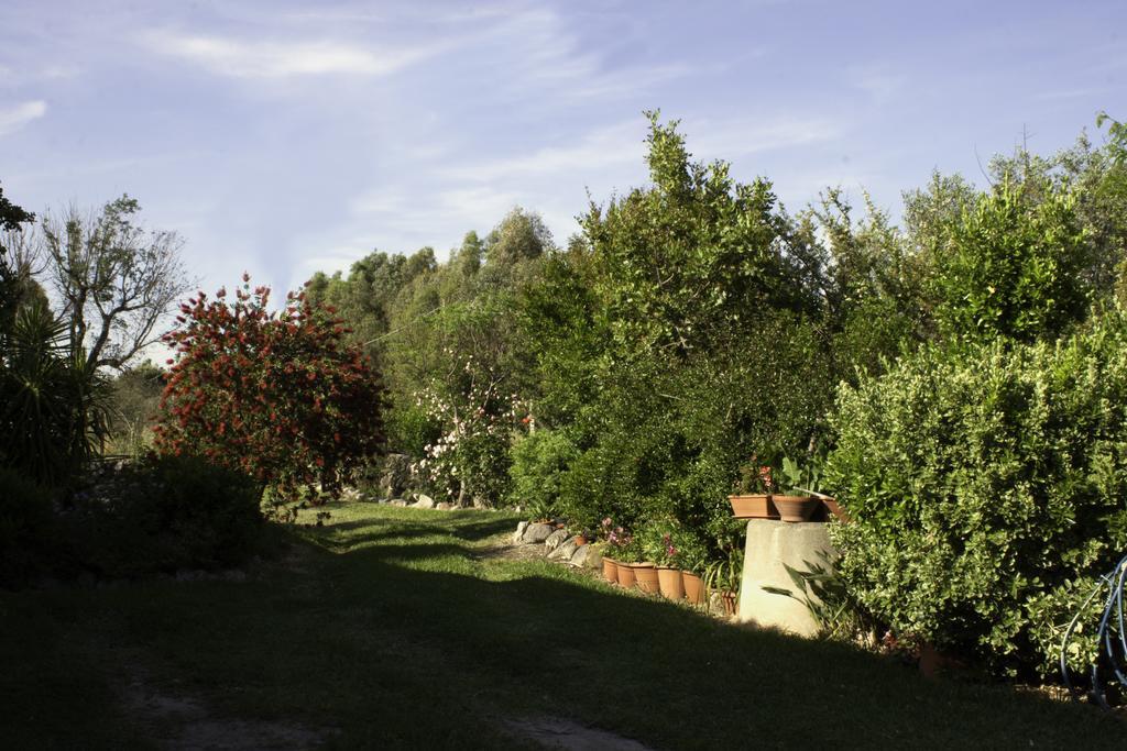 Bed and Breakfast Il Vecchioliveto Di Ornella Marrùbiu Exterior foto