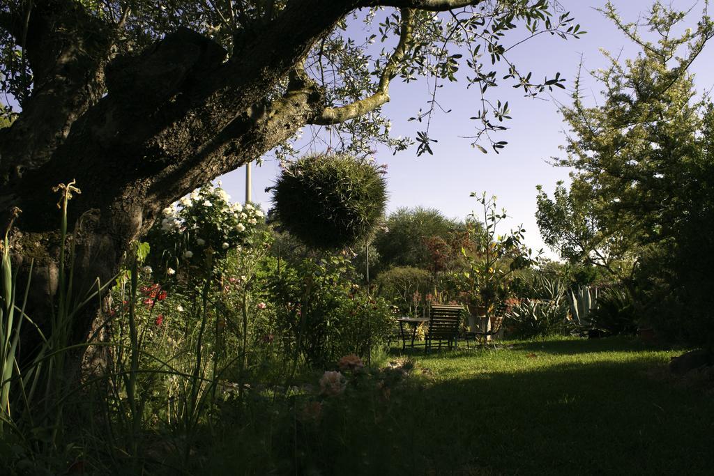 Bed and Breakfast Il Vecchioliveto Di Ornella Marrùbiu Exterior foto