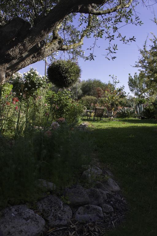 Bed and Breakfast Il Vecchioliveto Di Ornella Marrùbiu Exterior foto