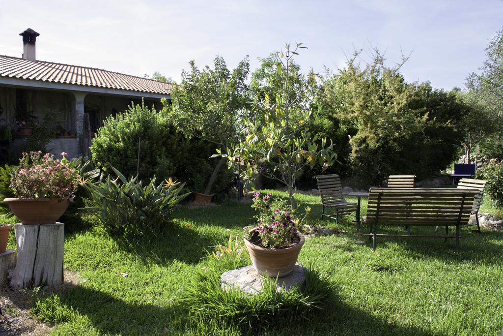 Bed and Breakfast Il Vecchioliveto Di Ornella Marrùbiu Exterior foto