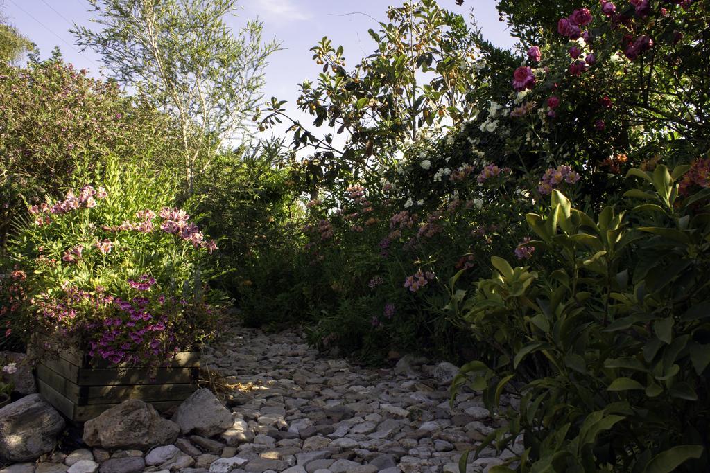 Bed and Breakfast Il Vecchioliveto Di Ornella Marrùbiu Exterior foto